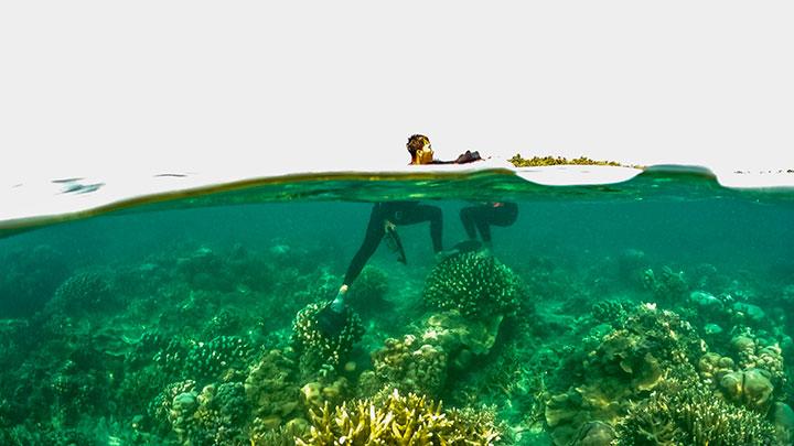 Rekomendasi 5 Wisata Alam di dalam Pinggiran Ibukota untuk Libur Nataru